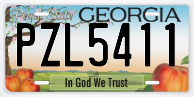 GA license plate PZL5411