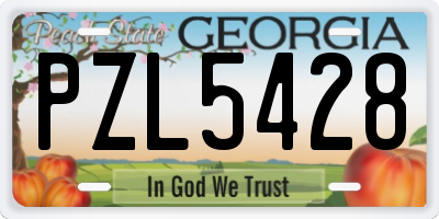 GA license plate PZL5428