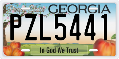 GA license plate PZL5441
