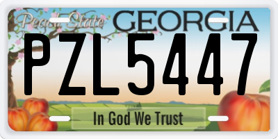 GA license plate PZL5447