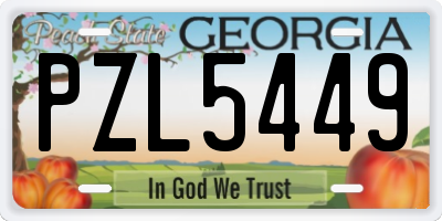GA license plate PZL5449