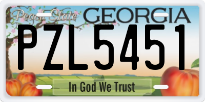 GA license plate PZL5451