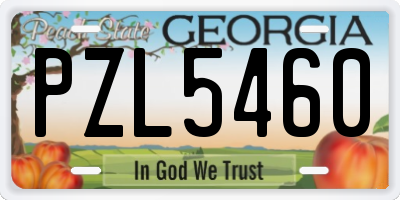 GA license plate PZL5460