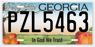 GA license plate PZL5463