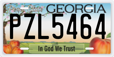 GA license plate PZL5464