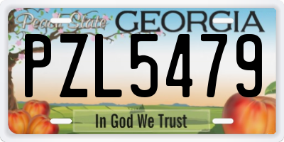 GA license plate PZL5479