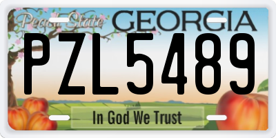 GA license plate PZL5489
