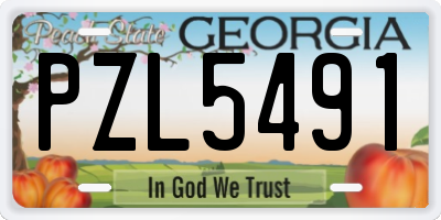 GA license plate PZL5491