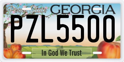 GA license plate PZL5500