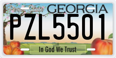 GA license plate PZL5501