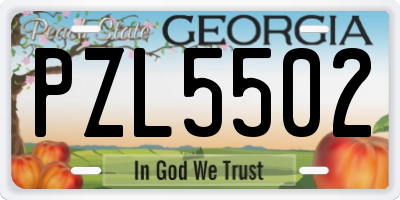 GA license plate PZL5502