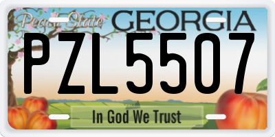 GA license plate PZL5507