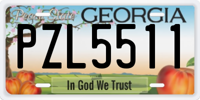 GA license plate PZL5511