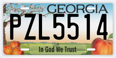 GA license plate PZL5514