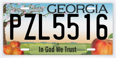 GA license plate PZL5516
