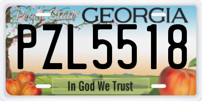 GA license plate PZL5518