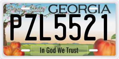 GA license plate PZL5521
