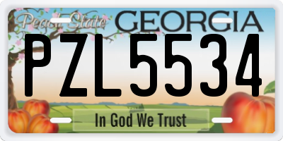 GA license plate PZL5534