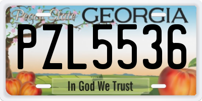 GA license plate PZL5536