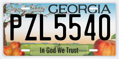 GA license plate PZL5540