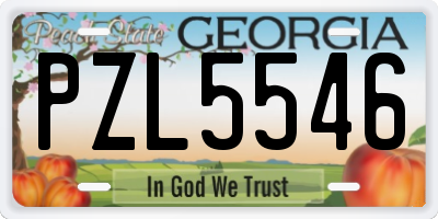 GA license plate PZL5546