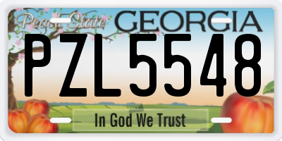 GA license plate PZL5548