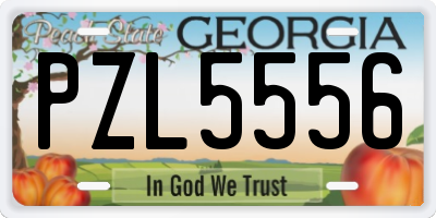 GA license plate PZL5556