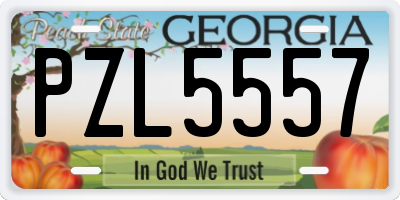 GA license plate PZL5557