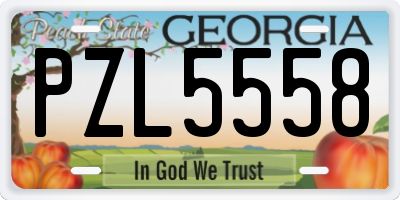 GA license plate PZL5558