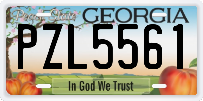 GA license plate PZL5561