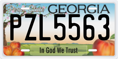 GA license plate PZL5563