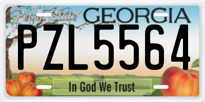 GA license plate PZL5564