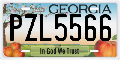 GA license plate PZL5566