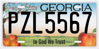 GA license plate PZL5567