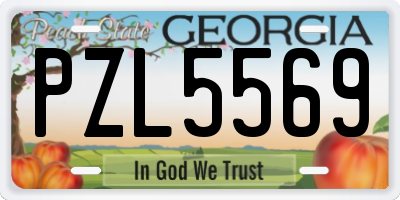 GA license plate PZL5569