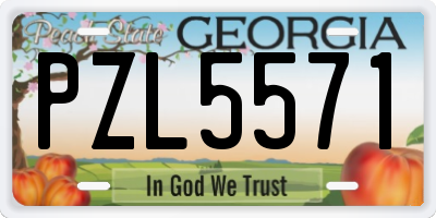 GA license plate PZL5571
