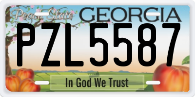 GA license plate PZL5587