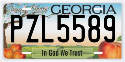 GA license plate PZL5589