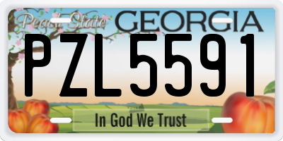 GA license plate PZL5591