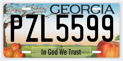 GA license plate PZL5599