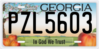 GA license plate PZL5603