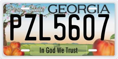 GA license plate PZL5607
