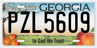 GA license plate PZL5609