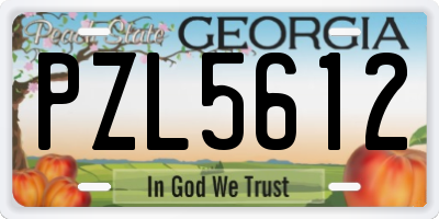 GA license plate PZL5612