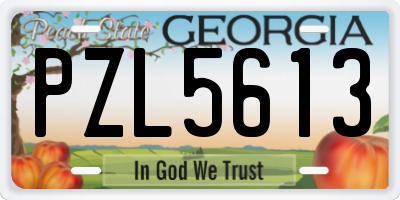 GA license plate PZL5613
