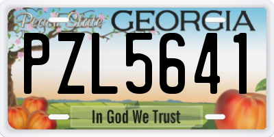 GA license plate PZL5641
