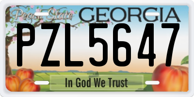 GA license plate PZL5647