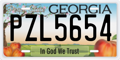 GA license plate PZL5654