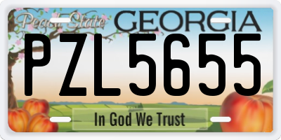 GA license plate PZL5655