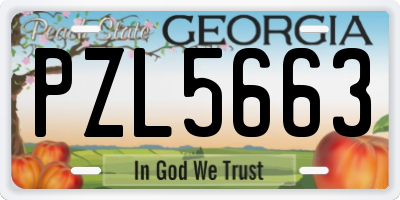 GA license plate PZL5663